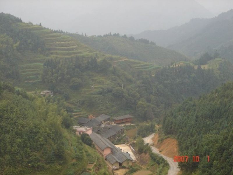 DSC03825.jpg