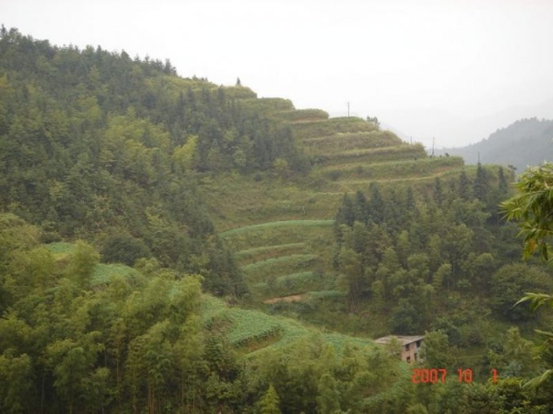 DSC03830.jpg
