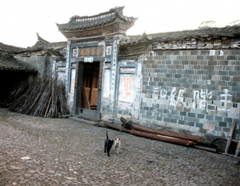 培11.jpg