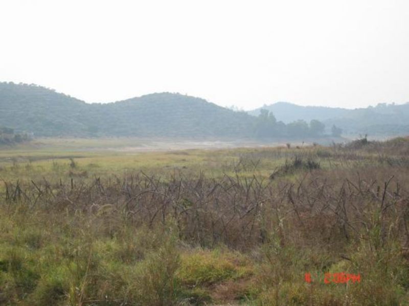 2007242011164203.jpg