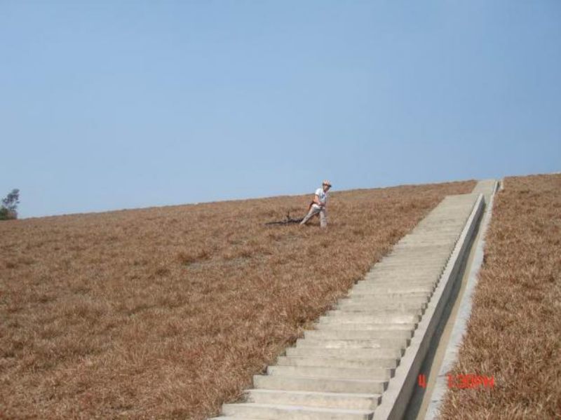2007242054165638.jpg