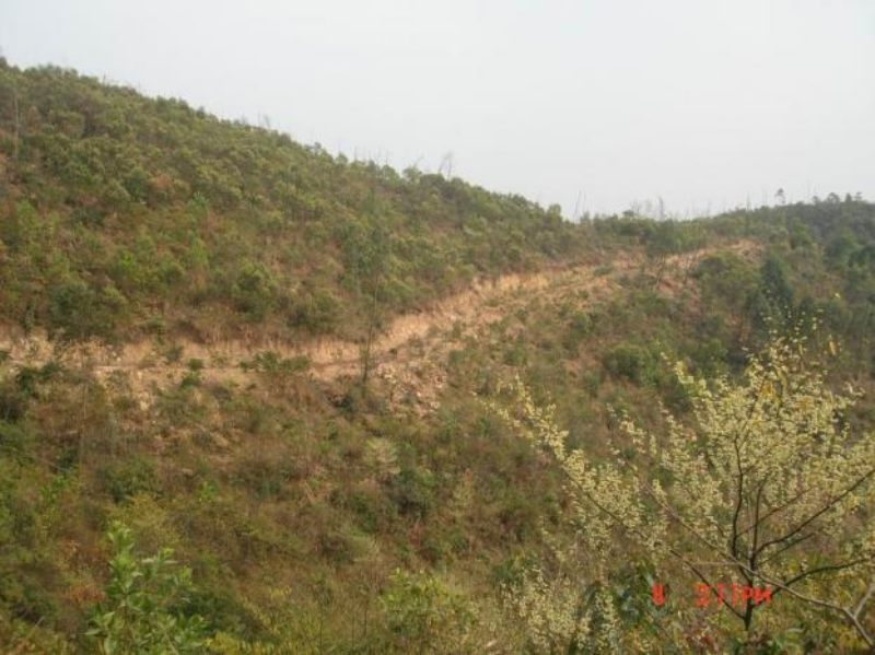 20072420153188415.jpg