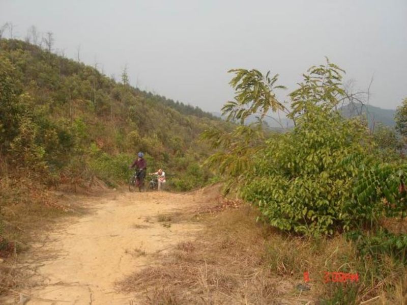 20072420153142141.jpg